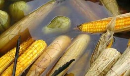 鹭岛爆料玉米肠视频网站