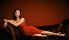 大嫂爆料八卦视频大全,揭秘娱乐圈不为人知的八卦风云