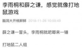 探长吃瓜笔记免费阅读,揭秘神秘案件的背后真相