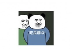 两人爆料娱乐圈小说,幕后真相大揭秘