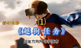 超狗任务国语在线观看,国语版在线观影指南