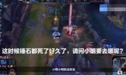 黑龙爆料假拳视频大全集,假拳视频大全集深度剖析