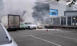 爆料海豚自燃视频大全集,揭秘海豚自燃现象惊悚视频大全